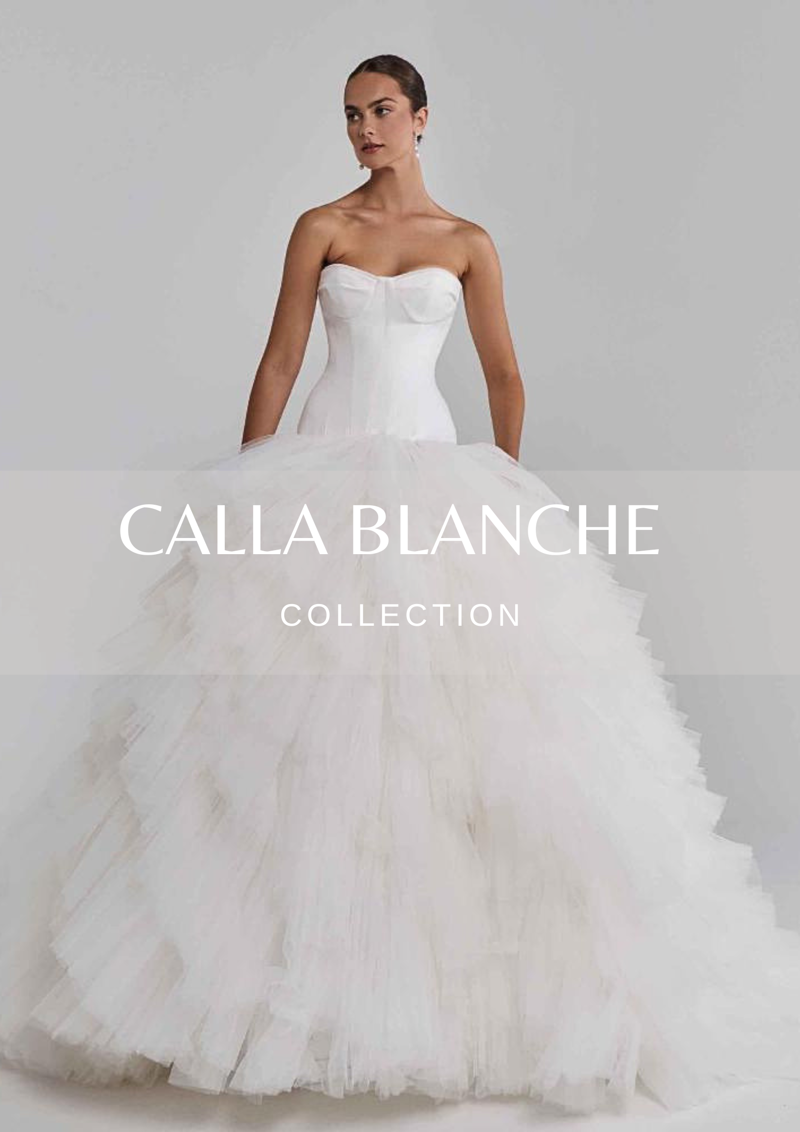 Calla Blanche